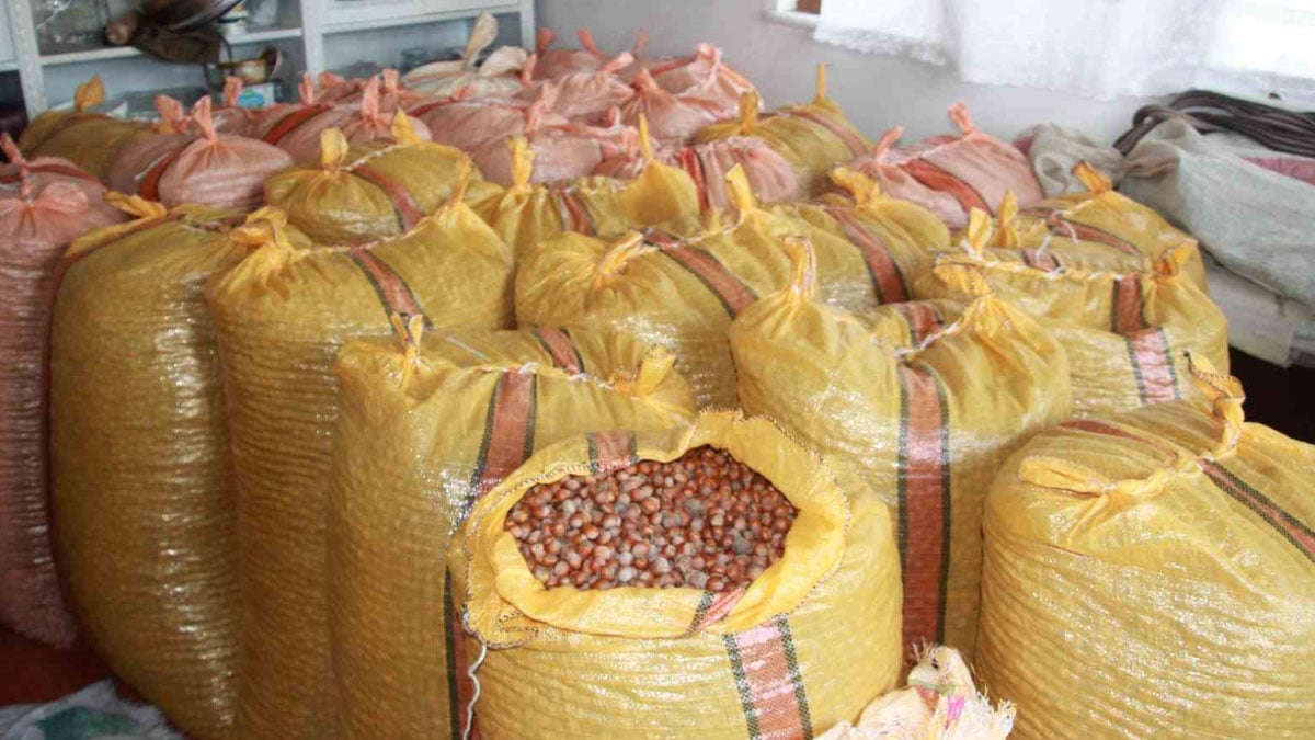 findik ureticilerinin artis beklentisi evde depoluyorlar PIB4ZLJ5