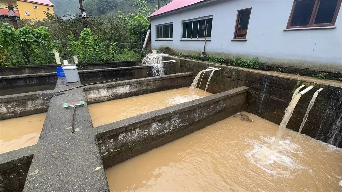 giresunda saganak heyelanlar ve su baskinlari 6BSCCqcJ