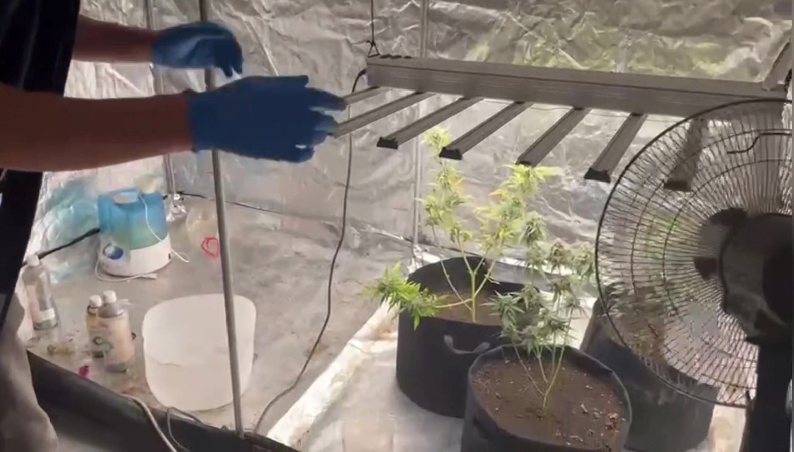 malatyada kilolarca kenevir ele gecirildi 36Ewahuj